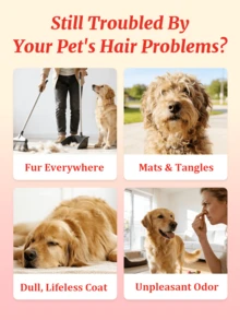 GJYC PET Sun Rose双层宠物护理油，亮泽麝香，2:1黄金比例保湿修护免洗护理，令毛发丝滑亮泽，轻盈不油腻，适用于犬猫，30毫升/1液盎司 - 查看 8