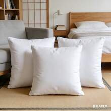 Square Pillow Insert For Sofa - White - View 11