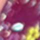 Morado transparente