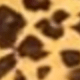 1PC