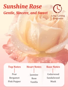 GJYC PET Sun Rose双层宠物护理油，亮泽麝香，2:1黄金比例保湿修护免洗护理，令毛发丝滑亮泽，轻盈不油腻，适用于犬猫，30毫升/1液盎司 - 查看 6