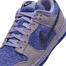 Giày thể thao nữ Nike HQ3431-515 dành cho trượt ván - màu sắc - Xem 8