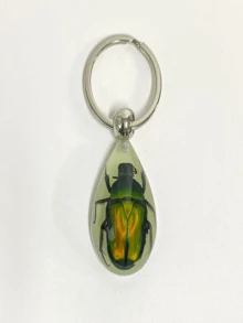 Glow-In-The-Dark Encapsulated Real Cicada, Crab, Spider, Scorpion Keychain. Symbolic Backpack Pendant, Water Drop Shaped Real Insect Specimen Desk Toy, Car Decor, Office Decoration, Wall Art, Versatile Keychain, Unique Artistic Gift - Multicolor - View 15