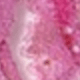 Nhiều màu