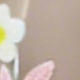 彩色