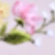 彩色