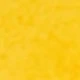 Yellow With White Core