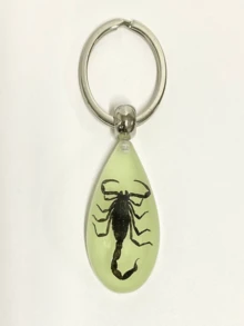 Glow-In-The-Dark Encapsulated Real Cicada, Crab, Spider, Scorpion Keychain. Symbolic Backpack Pendant, Water Drop Shaped Real Insect Specimen Desk Toy, Car Decor, Office Decoration, Wall Art, Versatile Keychain, Unique Artistic Gift - Multicolor - View 16