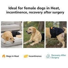 Dog Physiological Pants, Adjustable Snap Closure, Post-Surgery & Menstrual Care, Secure Wear To Prevent Mess - Multicolor - View 2