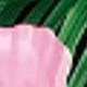 Flamingos