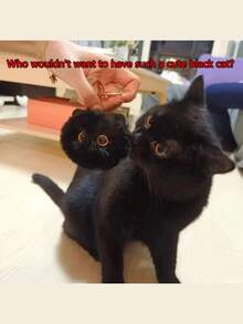 1 móc khóa hình mèo dễ thương, móc khóa bông xù, móc khóa thú nhồi bông, phụ kiện túi xách, thích hợp cho các cô gái tuổi teen, móc khóa mèo bông xù, móc khóa trang trí Giáng sinh, móc khóa trường học, móc khóa hình động vật hoạt hình, phụ kiện xe hơi, phong cách Gothic Y2K - Nhiều màu - Xem 7