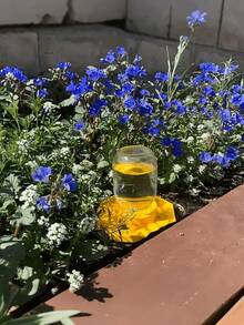 这款蜜蜂喂食器适用于花园和庭院,为蜜蜂和蝴蝶提供友好的饮水站,可与玻璃瓶一起使用,由塑料制成。 - 多款 - 查看 3
