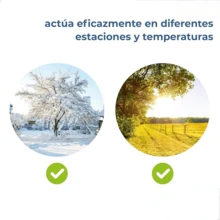 Laundry Soap & Powder - Solid State - View 4