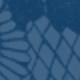 Blue Skin-like Lace