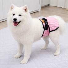 Dog Physiological Pants, Adjustable Snap Closure, Post-Surgery & Menstrual Care, Secure Wear To Prevent Mess - Multicolor - View 4