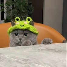 可爱宠物猫狗帽，趣味头饰/头套，猫咪用品，小型犬配件，猫咪衣服，柔软小型宠物头饰，适合猫咪和幼犬，幼犬用品 - 綠色 - 查看 3