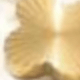 متعدد الألوان