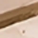 palmieri
