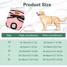 Dog Physiological Pants, Adjustable Snap Closure, Post-Surgery & Menstrual Care, Secure Wear To Prevent Mess - Multicolor - View 3