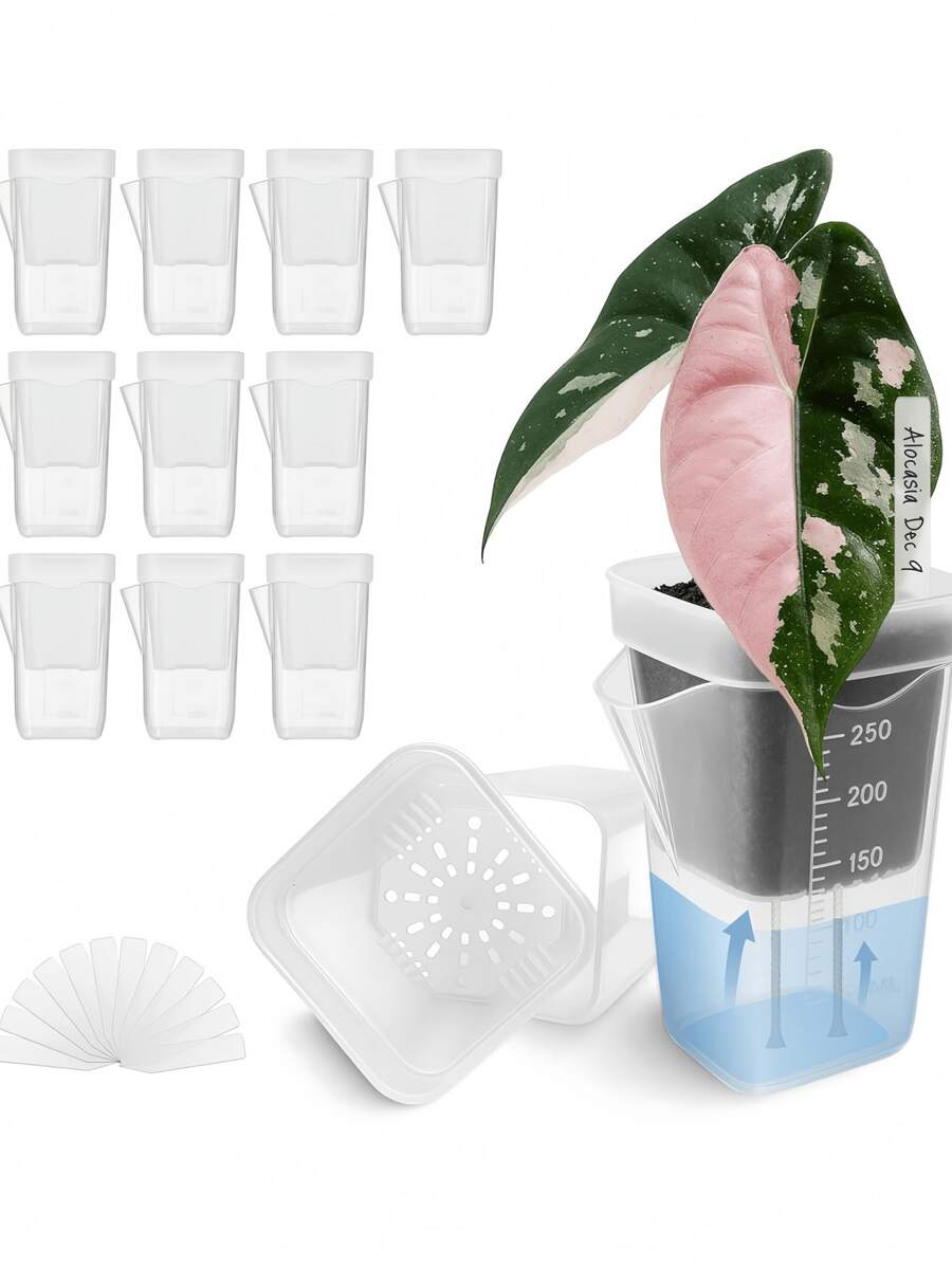 Khay tưới nước cho cây con mọng nước bằng nhựa dày, đường kính nhỏ, chậu trồng cây dạng lưới vuông. - trắng - Xem 1