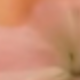 Hồng