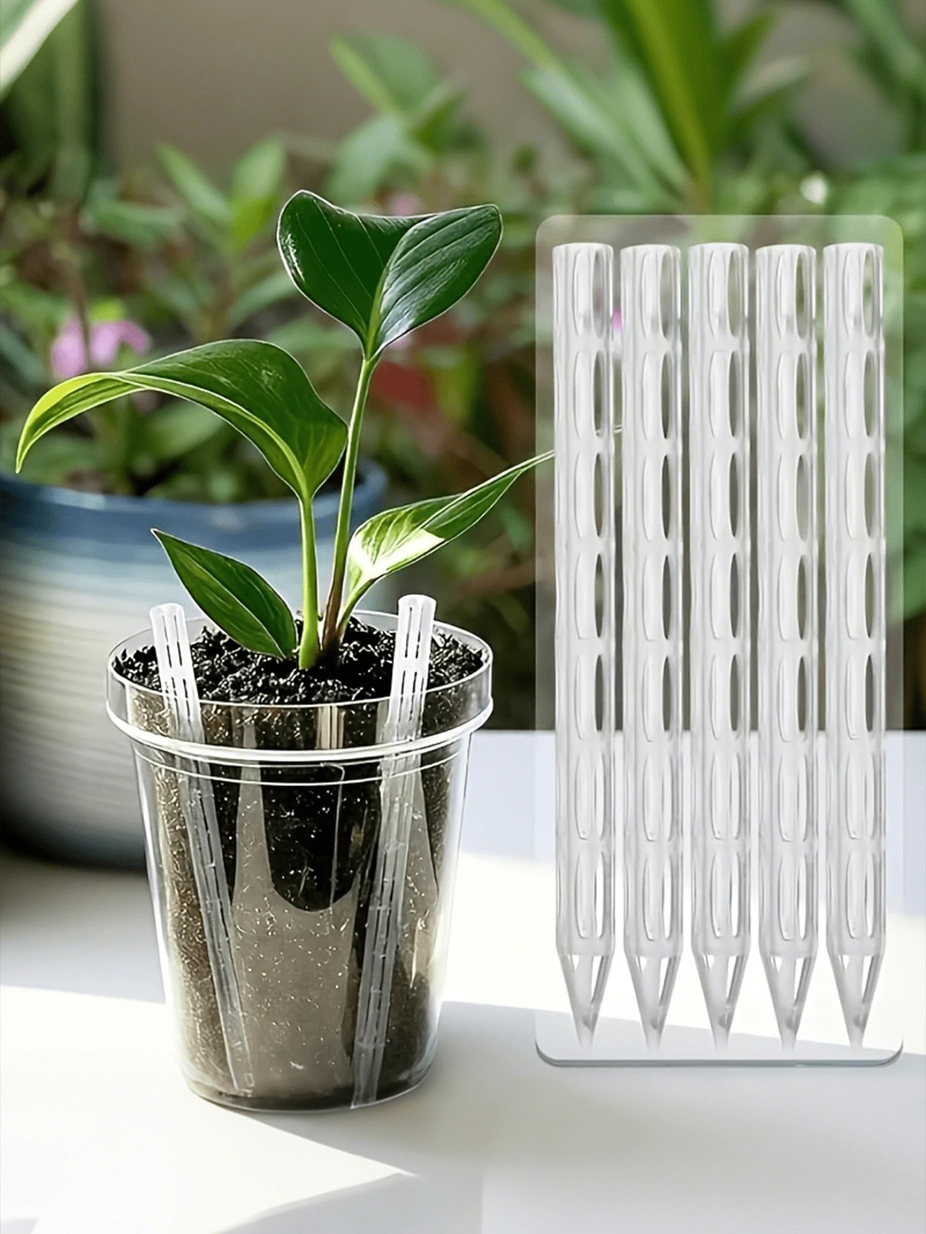 Transparent Plastic Anti-Root Rot Plant Ventilation Pipe System, Enhances Root Air Circulation, Lightweight Geometric Design, Suitable For Indoor And Outdoor Potted Plants