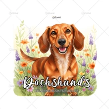 GDTME 24页“腊肠犬主题涂色书”，专为腊肠犬主人设计的放松空间（温馨的涂色页）。是释放情绪、缓解焦虑、节日和特殊场合的理想礼物。适合男孩、女孩、青少年和儿童。也适合作为文具、学习用品，是返校季、婚礼季、复活节、母亲节、父亲节的完美之选。 - CX-368 - 查看 15