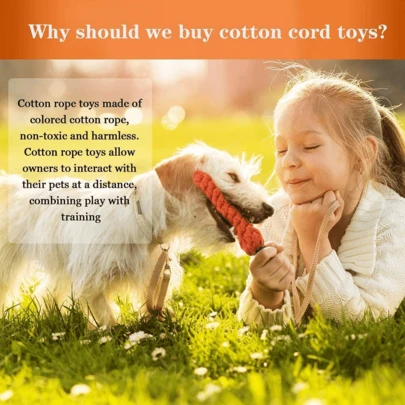 Bộ 4 món đồ chơi kéo co bằng dây cotton bền chắc hình củ cà rốt dành cho chó con nhỏ của W9 Pet Products, thích hợp để làm sạch răng và cắn, màu cam nhiều sắc thái.