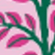 Plants and Animals