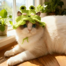 可爱宠物猫狗帽，趣味头饰/头套，猫咪用品，小型犬配件，猫咪衣服，柔软小型宠物头饰，适合猫咪和幼犬，幼犬用品 - 綠色 - 查看 7
