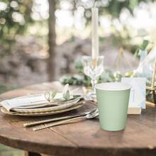 鼠尾草绿纸杯，冷饮杯和咖啡杯，派对餐具，适合生日派对、婚礼、母亲节等场合。 - 薄荷綠 - 查看 6