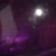 Ojo de tigre morado