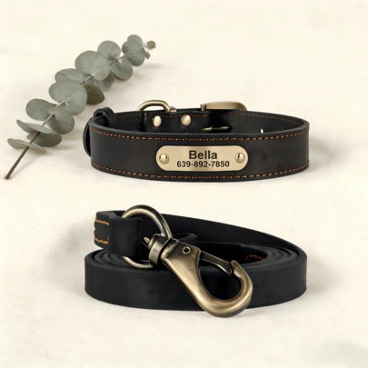Custom Solid Color Leather Dog Collar & Leash Set, Engraved Collar 150cm Leash, Large Dog Outdoor Accessories