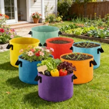 5 Gallon Felt Planting Bags, Durable Tomato Vegetable Garden Containers, Reusable Planting Bags With Sturdy Handles, Enhanced Load-Bearing Capacity For Outdoor Gardening, Home Balcony, Vegetable Garden Decor, Street, Multiple Colors Available - A - View 3
