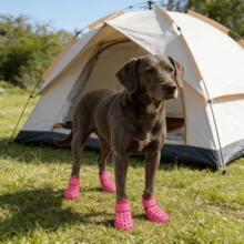 4双/套 时尚宠物狗鞋 - 狗狗用品，四季皆宜，防滑透气，弹性柔软鞋底，保护狗狗爪子，让狗狗快乐 - 彩色 - 查看 4