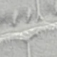 Màu xanh nhạt