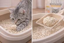 Arena para Gatos de Tofu Natural Pack de 4 – Aglomerante, Alta Absorción, Control de Olores, Desechable por el Inodoro - PAQUETE 4 - Ver 2