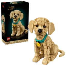 Bộ lắp ráp LEGO sáng tạo - Món quà Giáng sinh lý tưởng - Trang trí phòng hoàn hảo - Dành cho người từ 18 tuổi trở lên - Nhiều màu - Xem 12