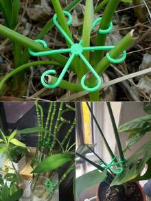 1个植物支架，坚固的攀援植物茎夹，藤蔓固定器，室内花茎固定器，塑料园艺工具，适用于攀援植物，可用于露营/婚礼/花园装饰/卧室装饰/房间装饰/家居装饰/秋季装饰/情人节/复活节 - 多色 - 查看 4