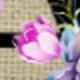 彩色