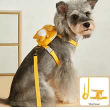PETCHIC 可爱恐龙造型狗狗胸背带牵引绳套装,包含背包和牵引绳,可调节柔软毛绒材质,带拉链口袋,适合小型犬和猫咪,防拉扯,宠物爱好者生日礼物及宠物用品 - 彩色 - 查看 3