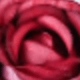 Đỏ