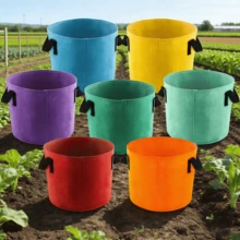 5 Gallon Felt Planting Bags, Durable Tomato Vegetable Garden Containers, Reusable Planting Bags With Sturdy Handles, Enhanced Load-Bearing Capacity For Outdoor Gardening, Home Balcony, Vegetable Garden Decor, Street, Multiple Colors Available - Multicolor - View 2