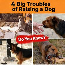 1pc Dog Muzzle, Anti-Biting, Comfortable, Thickened, Adjustable, Anti-Accidental Ingestion, Pet Mask, Dog Muzzle - Multicolor - View 5