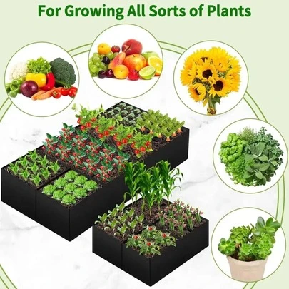 Chậu trồng cây cỡ lớn, chia làm 1/4/8 ngăn, hình chữ nhật bền chắc, thích hợp trồng rau và hoa.