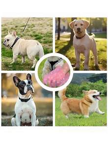 10/12个装粉色系列宠物粪便袋印花狗便袋户外遛狗清洁袋 - 彩色 - 查看 9