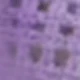 Lotus Purple