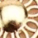 flor de sol