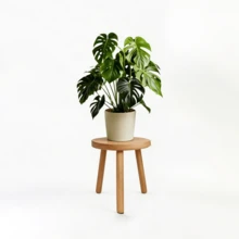 室内木制植物架，中世纪现代风格植物凳，大型木制植物架，适用于高大植物，室内外花架，小型圆桌，3种不同尺寸，适用于客厅、阳台、办公室等场所摆放大型植物 - 圓形 - 查看 8