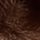 S4